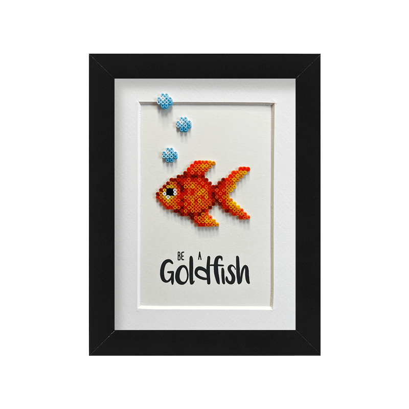 Goldfisch Goldfisch