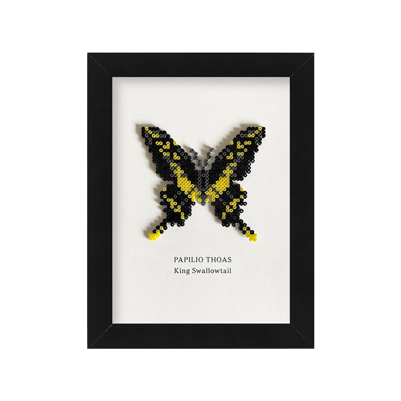 Insekten: Papilio Thoas